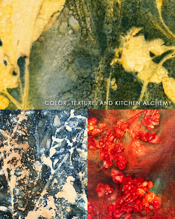 Wet Cyanotype with Beth Wright - Image 2
