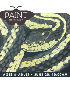 Paint with Lily
