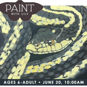 Paint with Lily