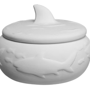 Sharkfin Box $15