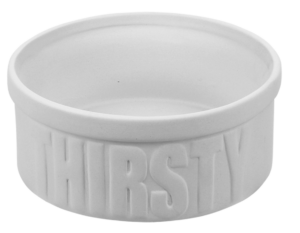 Thirsty Pet Bowl $20