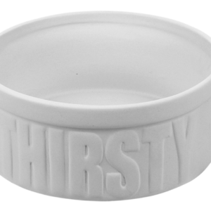 Thirsty Pet Bowl $20